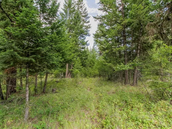 301 Haskill Ranch Rd, Kila, MT 59920