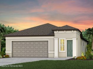 3785 Hornbeam Rd, Spring Hill, FL 34609