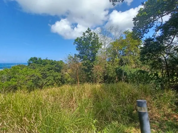 Urb Las Coles Carr 968 Km #1.5-lot 1, Palmer, PR 00721