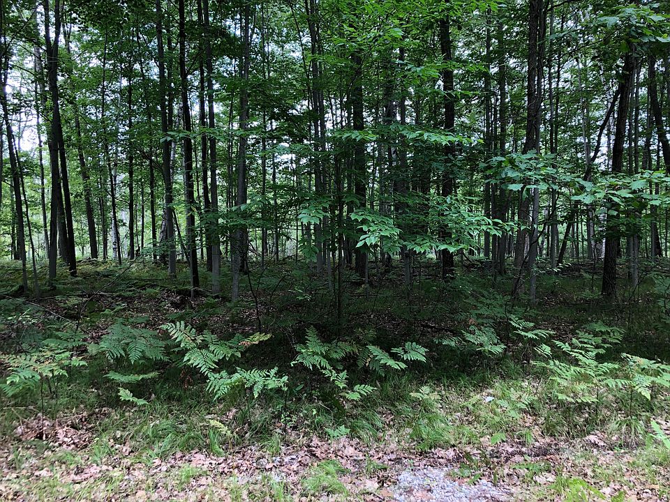 1st image of 6231 Fox Run Cir