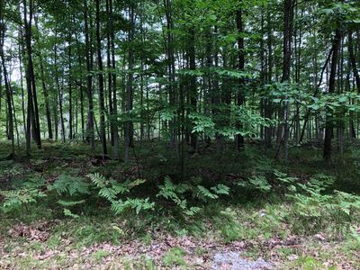 6231 Fox Run Cir, Stanwood, MI, 49346