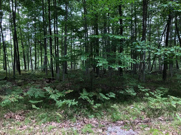 6188 Fox Run Cir, Stanwood, MI 49346