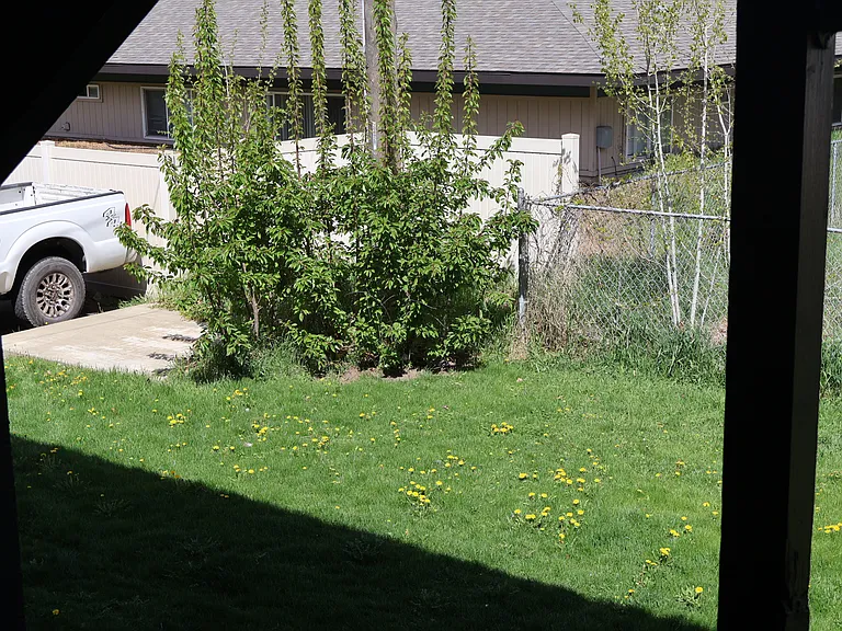 111 E Hattie Ave #4 — Photo 12