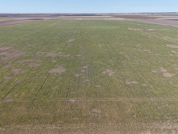 5th image of Ranch Rd #3045