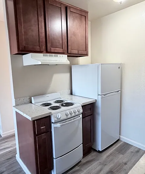 1 bed, 1.0 bath, 550 sqft — Photo 3