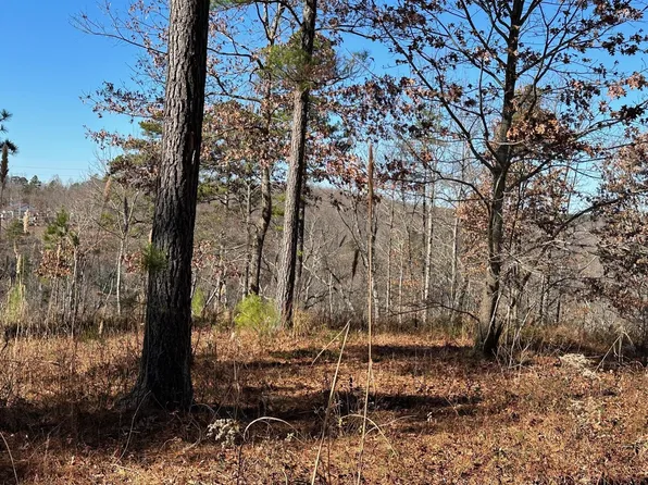 TRACT 3 S Pittsburg Mountain Rd, South Pittsburg, TN 37380