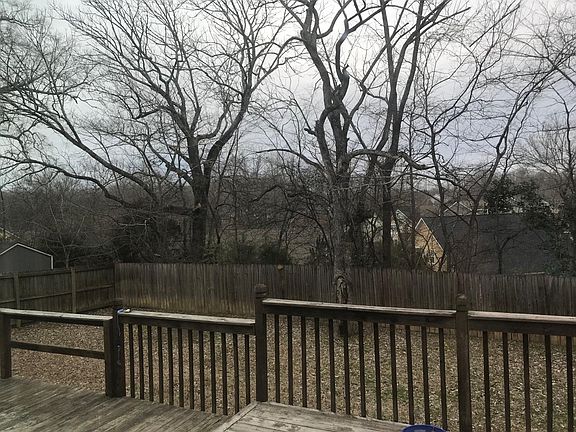 View from Back Porch