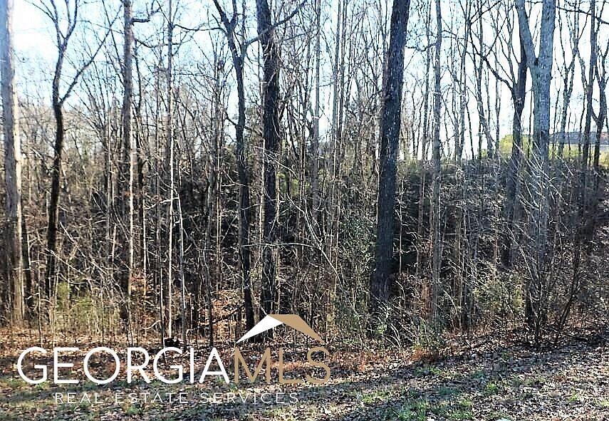 2538 Vaughandale Cir, Gainesville, GA 30506 Zillow