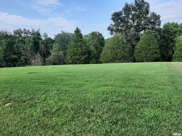 0 Joyce Ln, Vienna, IL 62995