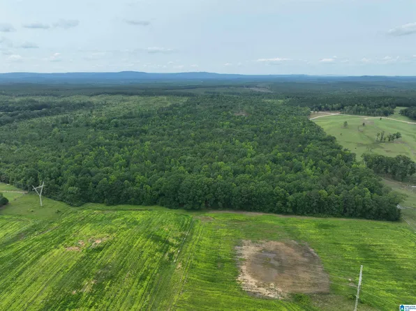 Jackson Farm Rd #0, Wilsonville, AL 35186