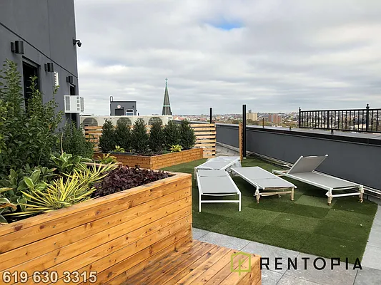 Rented by Rentopia | media 68