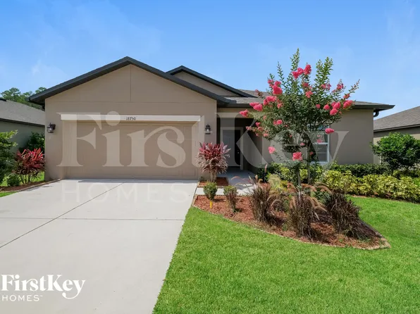 18750 Alfaro Loop, Spring Hill, FL 34610