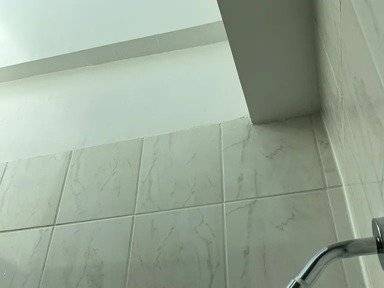 shower/tub with skylight and new hardware