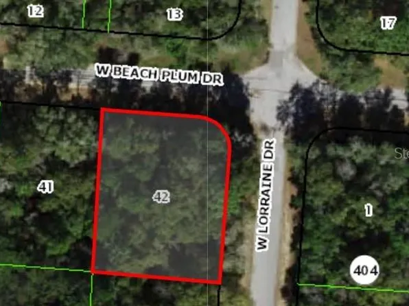 1920 W BEACH PLUM DRIVE LOT 42, CITRUS SPRINGS, FL 34434