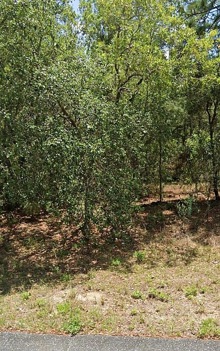 1st image of 3852 W HONDO DRIVE LOT 8