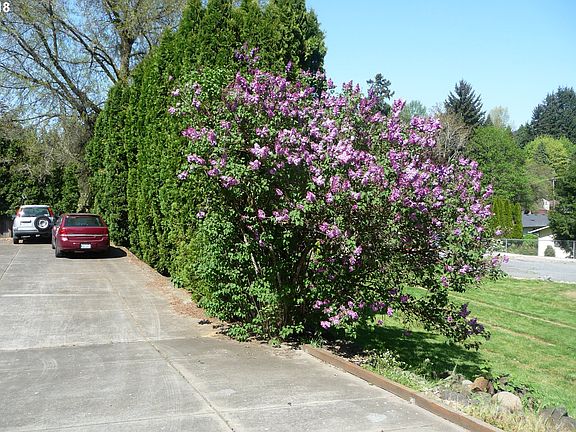 4th image of 2308 NE 53rd St