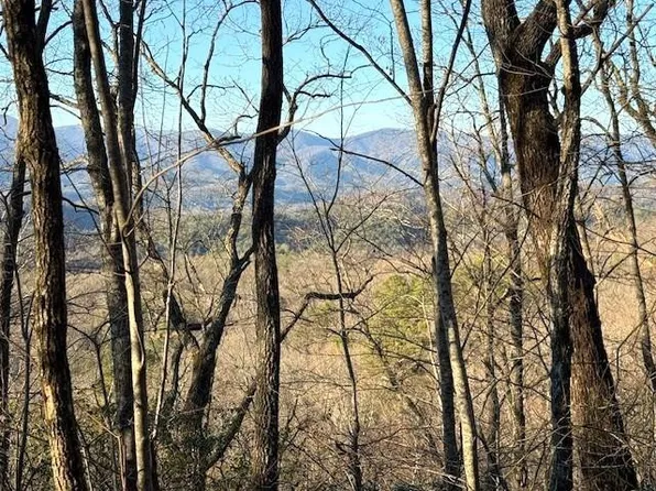 70 Laurel Dr Lot 77, Marble, NC 28905