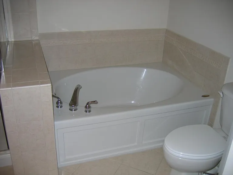 Master bathtub