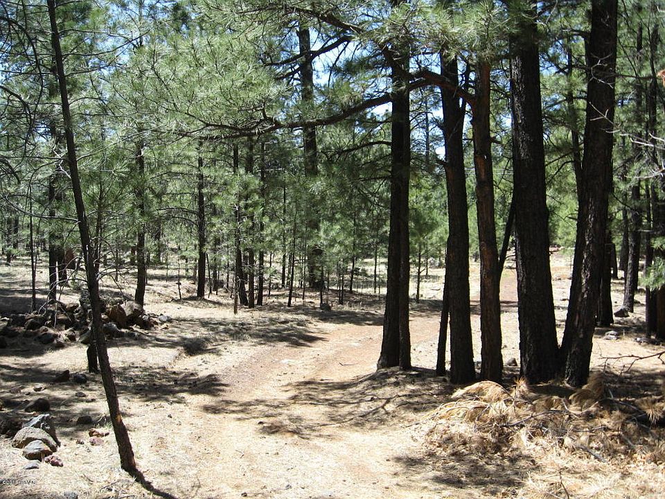 2nd image of 2434 Black Bear Ln