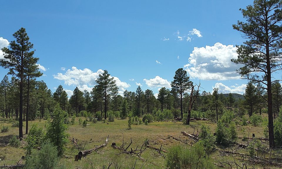 2nd image of 854 Pine Meadow Ln
