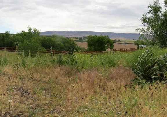2nd image of 211 Horse Heaven Ln