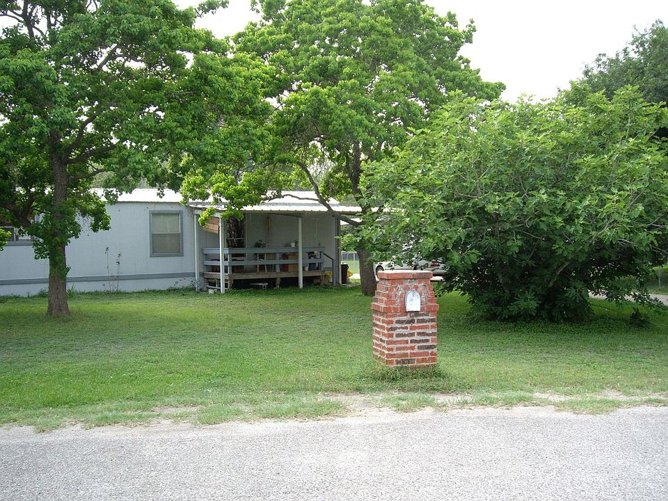 Front w/ giant fig tree