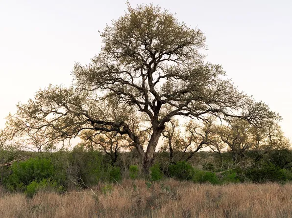 1901 Oak Grove Rd, San Marcos, TX 78666