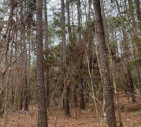 3rd image of Off Of County Rd #2580