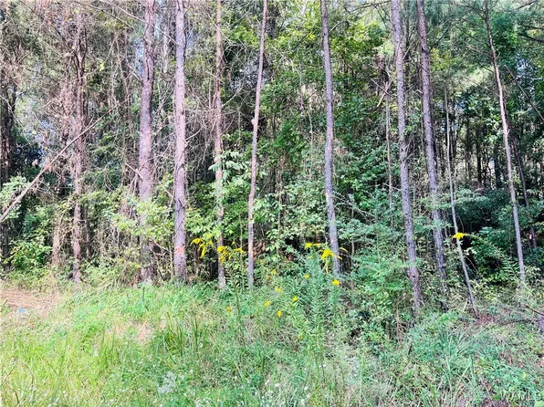 0 Bluffport Rd, Livingston, AL 35470