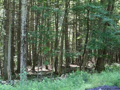 LOT 6 Oakwood Cir, Stone Ridge, NY, 12484