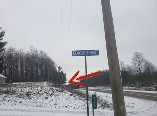 6477 Coyote Pass, Bellaire, MI 49615