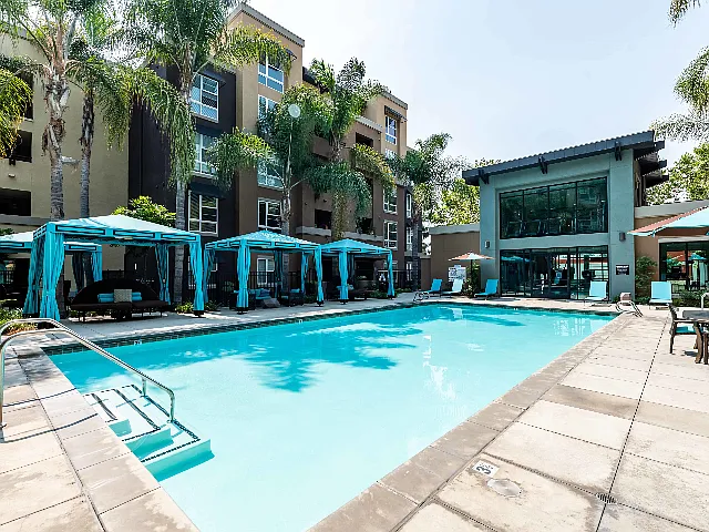 Calypso Apartments and Lofts — Photo 24