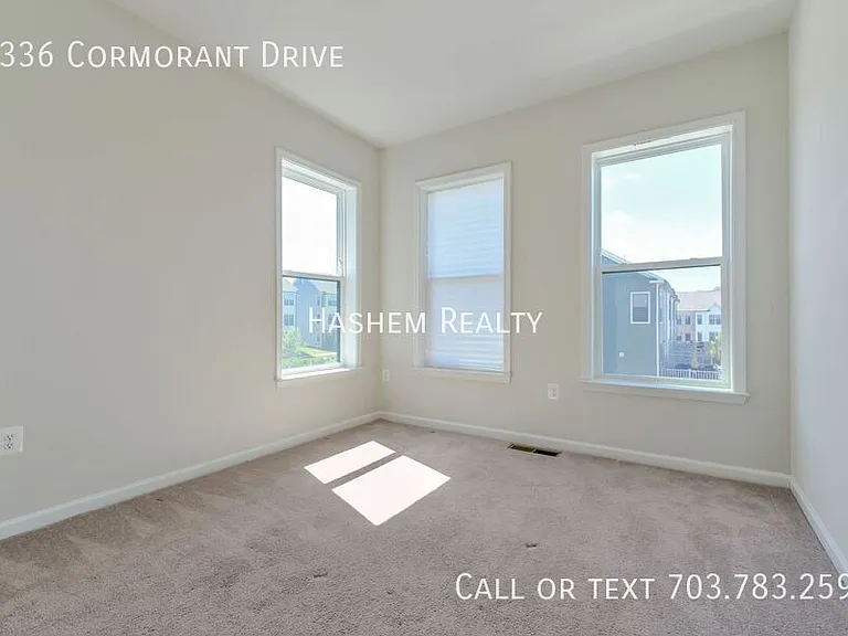 3336 Cormorant Dr — Photo 9