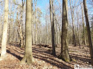 0 Muzzy Hill Rd, Panama, NY 14767