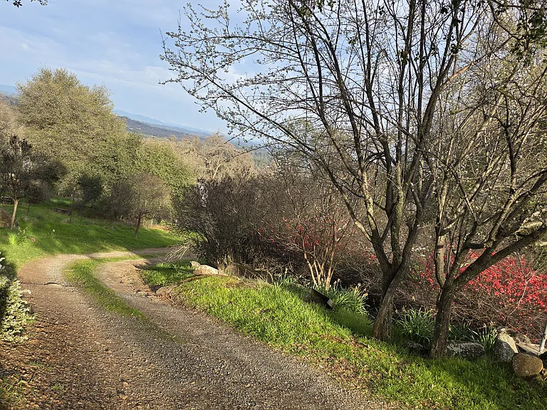 We have a circle driveway, and this is the north side coming up the hill. Country living here, no luxury of concrete or pavement driveway. Just drive slow and it will be o.k.