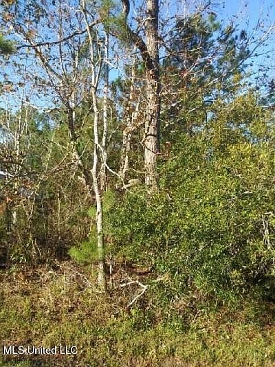 2nd image of 1003 Quail Way