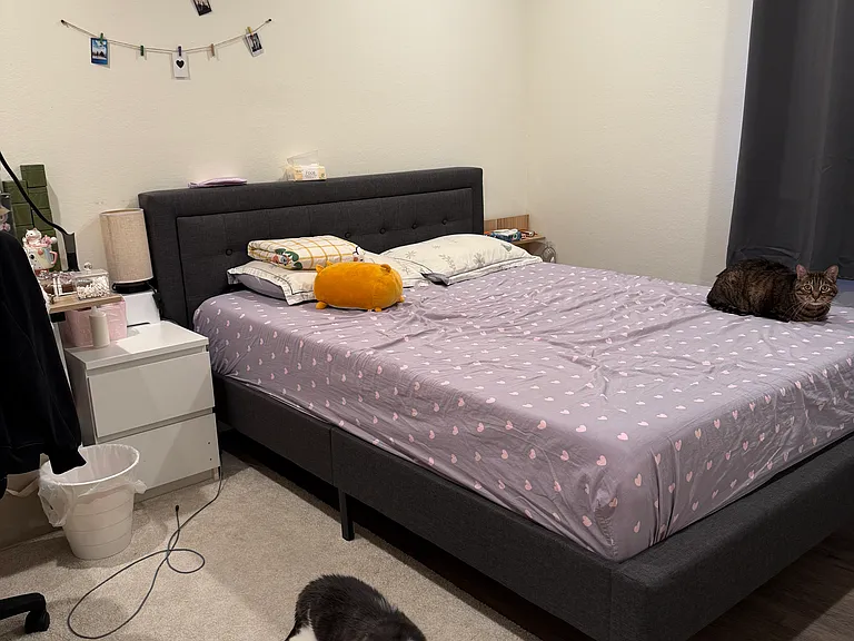 1055 N Capitol Ave #79 — Photo 9
