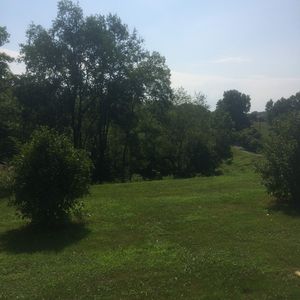 1785 Reynolds Rd, Nashville, TN, 37217