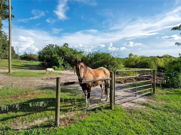 Old Homeland Rd, Bartow, FL 33830