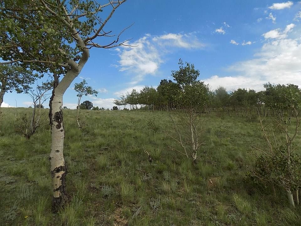1st image of 285 Tatanka Trl