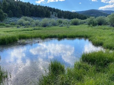 2575 Gw Camp Creek Rd, Butte, MT, 59701