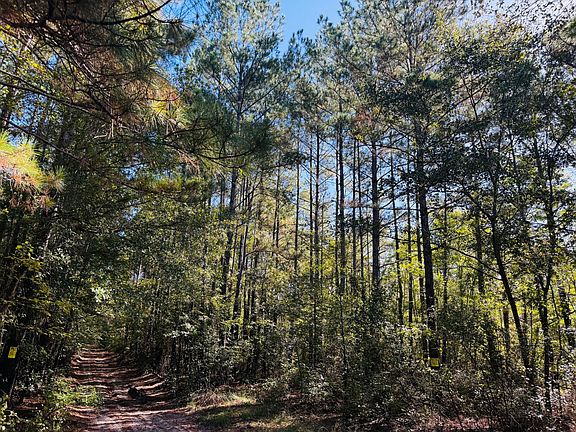 5th image of Deer Track Dr