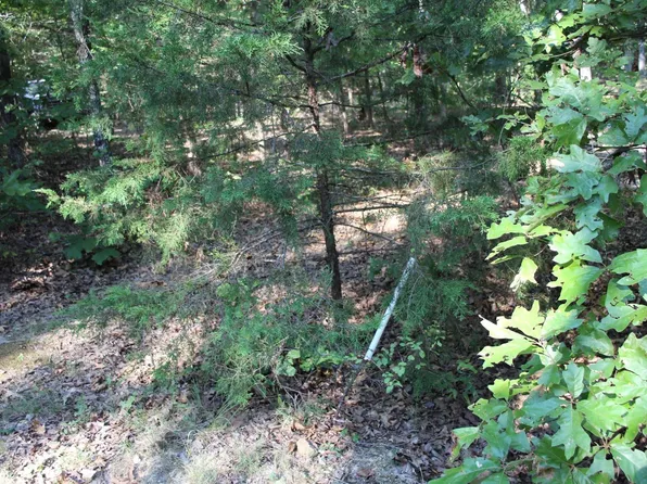 LOT 38 Jeb Rd, Flippin, AR 72634