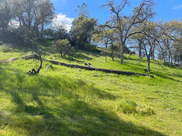 Depp Fore4st Dr, Coarsegold, CA 93614