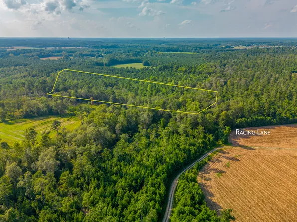 0 Racing Ln, Harleyville, SC 29448