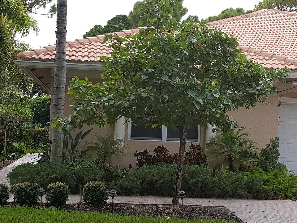 1st image of 360 W Coral Trace Circle