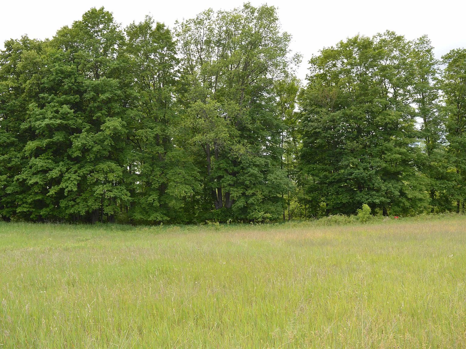 NULLI Summit City Rd, Kingsley, MI 49649 | MLS #1911102 | Zillow