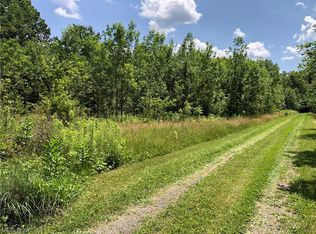 10640 Silica Sand Rd, Windham, OH 44288