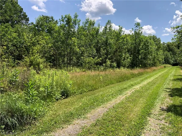 10640 Silica Sand Rd, Windham, OH 44288