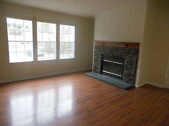 Wood burning fire place